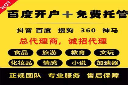 精选案例分享：SEM代运营公司效果展示