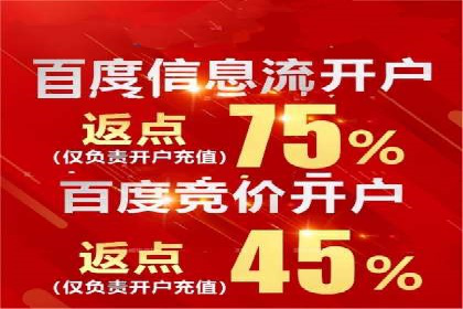 案例分享：百度竞价广告投放策略与效果