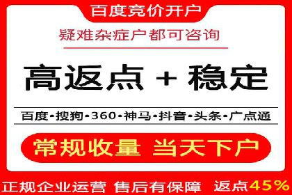 百度竞价代理技巧：经典成功案例解析